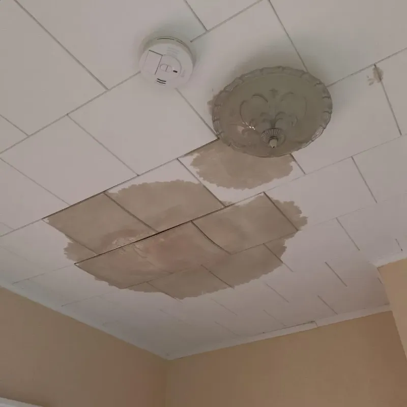 Ceiling Water Damage Repair in Arlington, NE